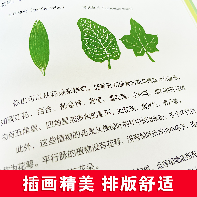[正版] 科瓦奇讲植物动物天文与地理全套三册科瓦奇讲植物 自然界气候的变化动植物花卉四季更迭 学生科普 百科全书大高清大图