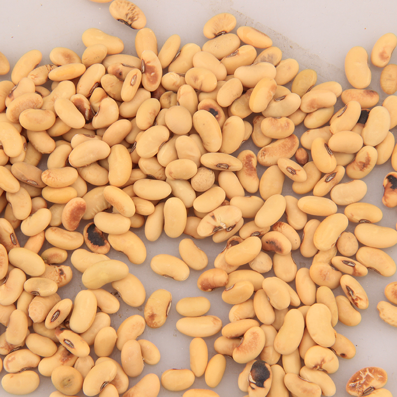 金亮子jinliangzi五谷杂粮扁黄豆600g单位袋