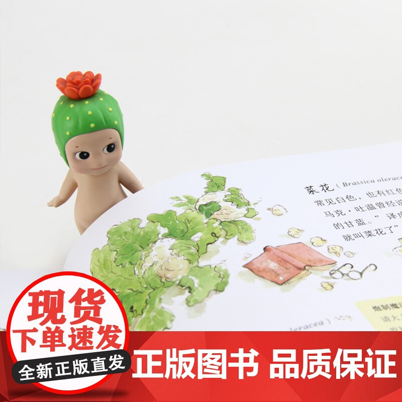 园艺小指南 乔·埃尔沃西 著 科普百科高清大图