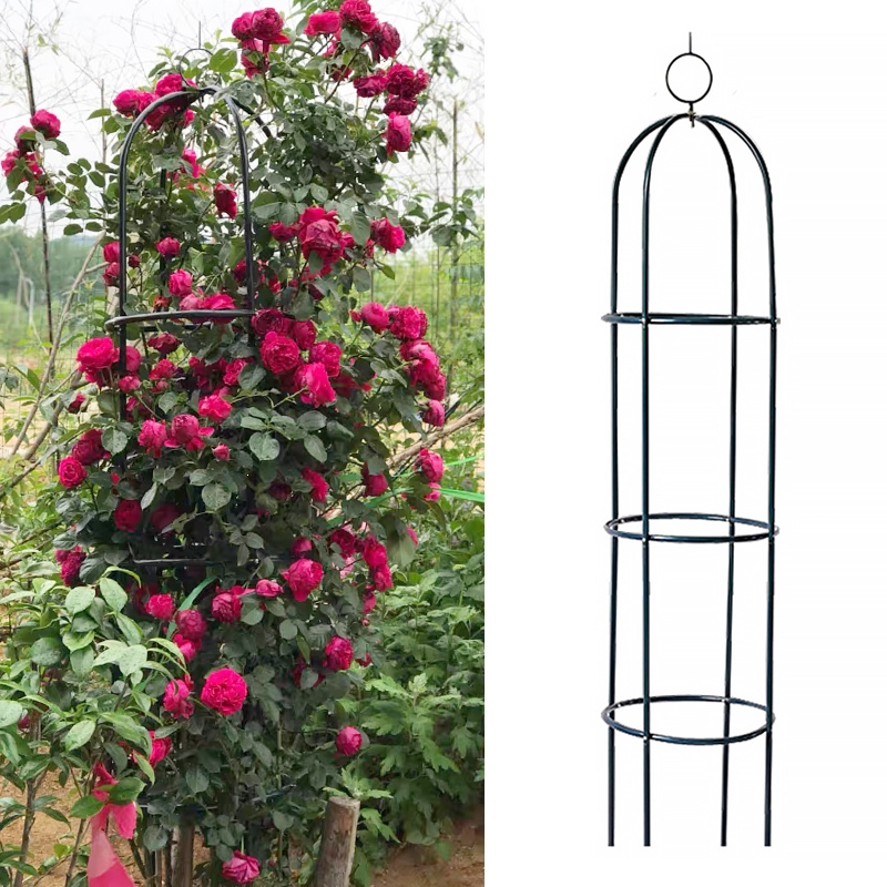 铁艺花架爬藤架月季花铁线藤印象莲户外柱形欧式花架盆载花支撑架室内