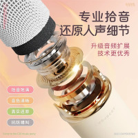 酷爱果正品K歌音响话筒一体麦克风无线蓝牙音箱便携家用唱歌儿童礼物家庭KTV女生可用苏宁卡付款