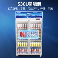 星星(XINGX)LSC-518Y 530升大容量双门冷藏展示柜 商用冰箱保鲜冷藏冰柜 玻璃门立式饮料柜