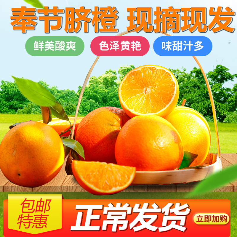 重庆奉节脐橙哪里买(重庆奉节的脐橙怎么样)