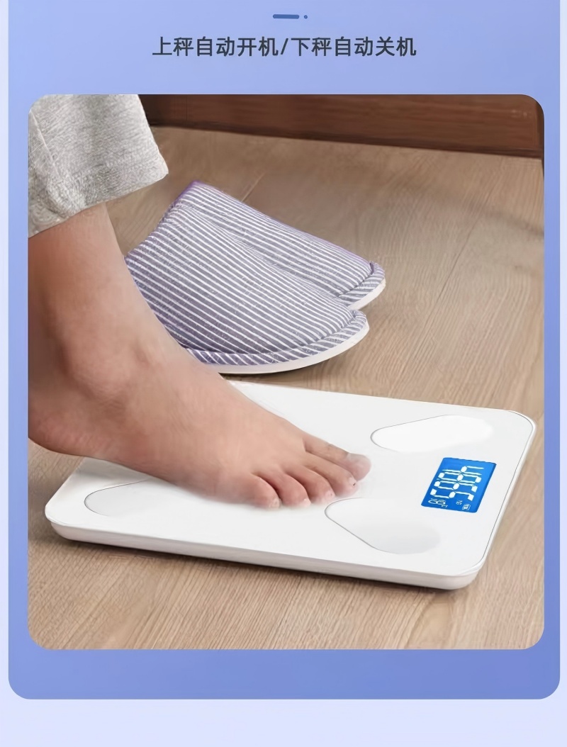 辉鼎 体脂秤普通APP电池款高清大图