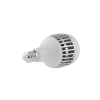 晫安联 ZX2101D AC220V 36W 6500K 螺口式 E27 LED 工业级节能灯泡 ( 计价单位:个)