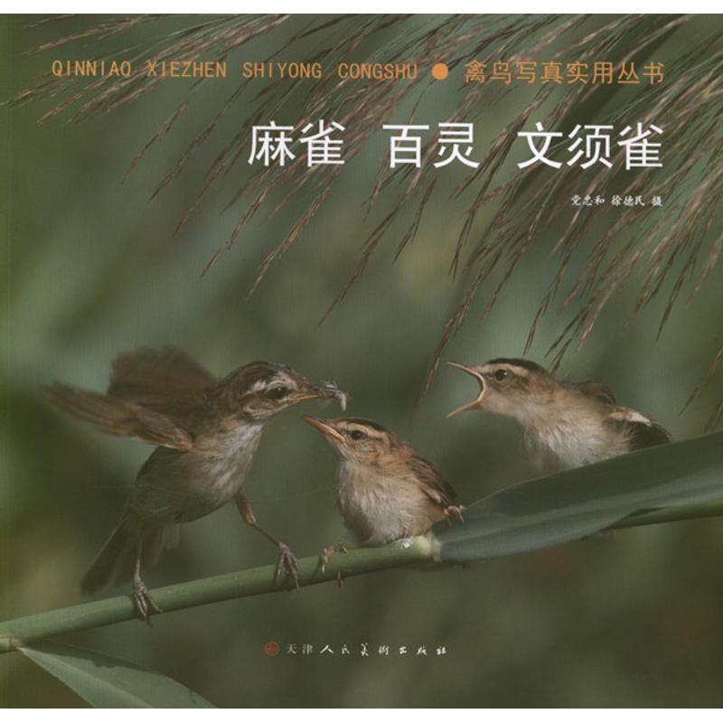 禽鸟写真实用丛书 麻雀 百灵 文须雀 党忠和 徐德民著 摘要书评在线阅读 苏宁易购图书