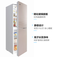 格力(GREE) 晶弘228升家用节能省电双门冰箱风冷无霜BCD228WEG浮光金