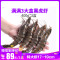 【抢！3盒仅89】黑虎虾活冻大虾(16-20cm)活超大斑节虾鲜虾冻虾海鲜水产速冻九节虾类