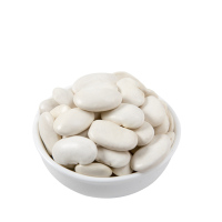 盛耳 白芸豆500g 新货大芸豆新鲜云豆大白豆雪豆大豆豆子五谷杂粮