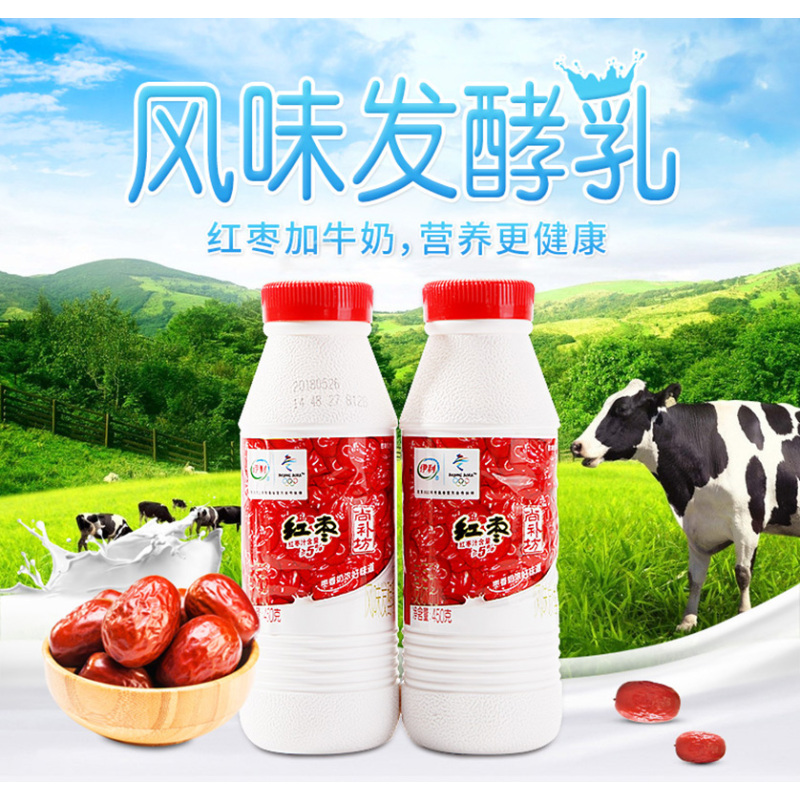 尚补坊红枣大桶装酸奶450克大桶实惠装红枣新鲜纯牛奶红枣450克12瓶