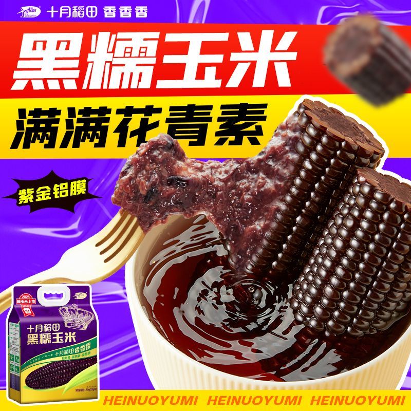 十月稻田黑糯玉米220g*8根东北软糯甘甜大棒富含花青素清香1.76kg