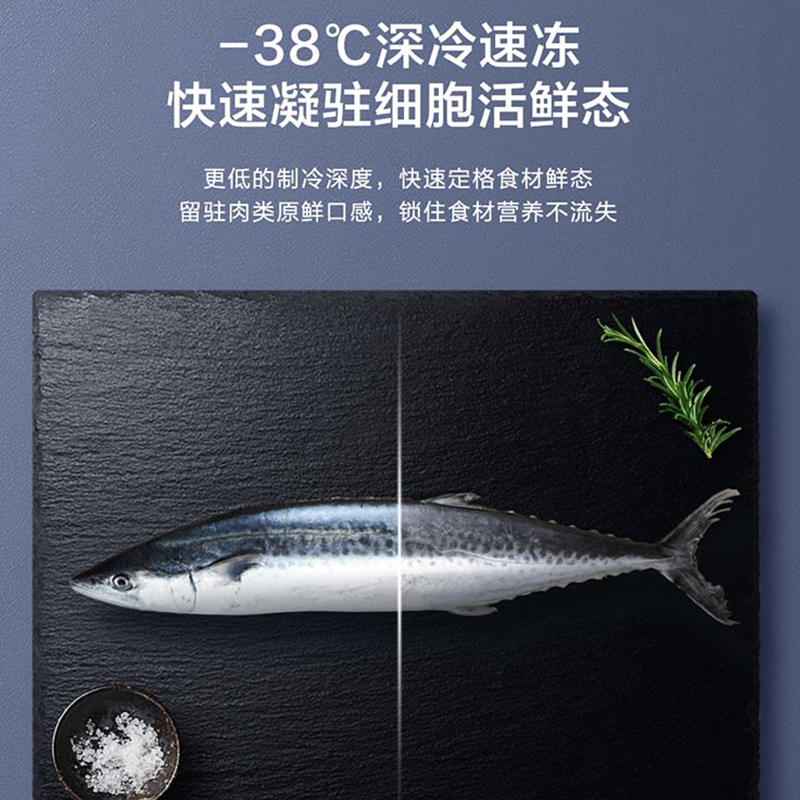 海海尔166升风冷无霜领鲜卧式柜 风冷无霜 大冷冻力 -38℃制冷深度 高温度均匀性 高容积利用率 黑金净化(抗菌净味)