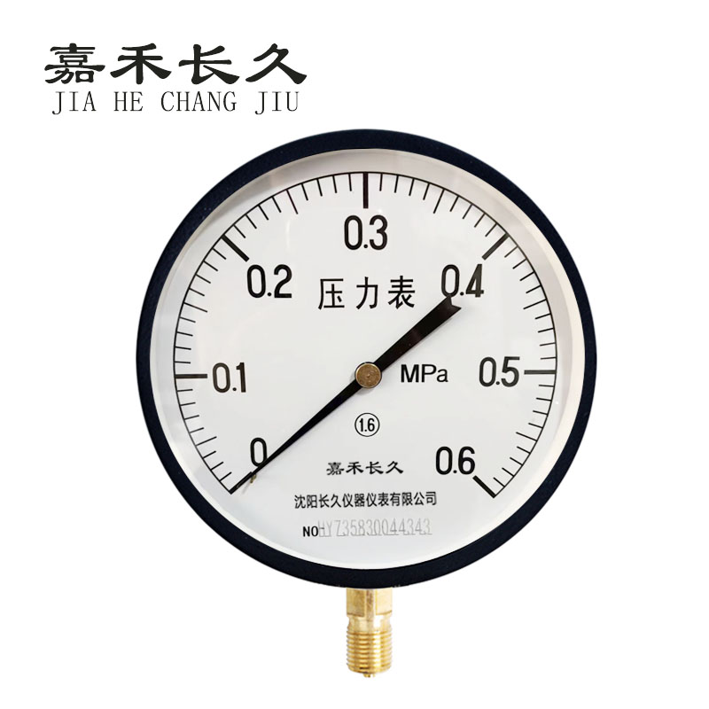 嘉禾长久+压力表检测定制型+Y200+块高清大图