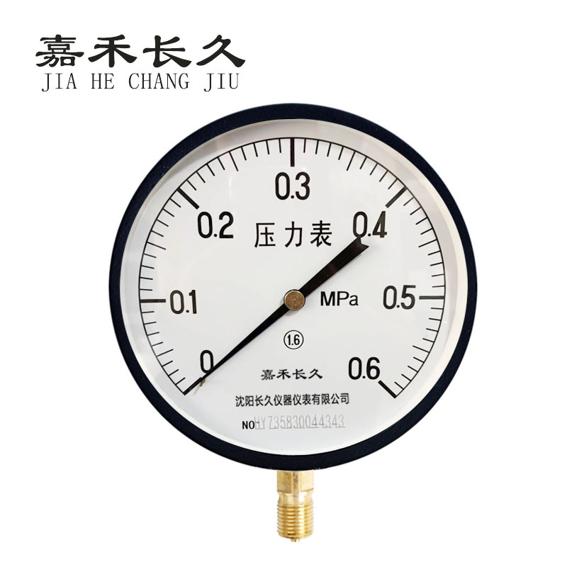 嘉禾长久+压力表检测定制型+Y200+块