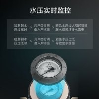 格力(GREE)前置过滤器WTE-QZBW04家用全屋自来水反冲洗净水器中央净水机高效过滤终身免换滤芯水压监控不锈钢滤网