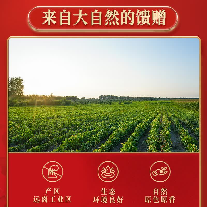 十月稻田 福到运到 八种五谷杂粮礼盒 6.4斤 节日送礼 团购送长辈高清大图