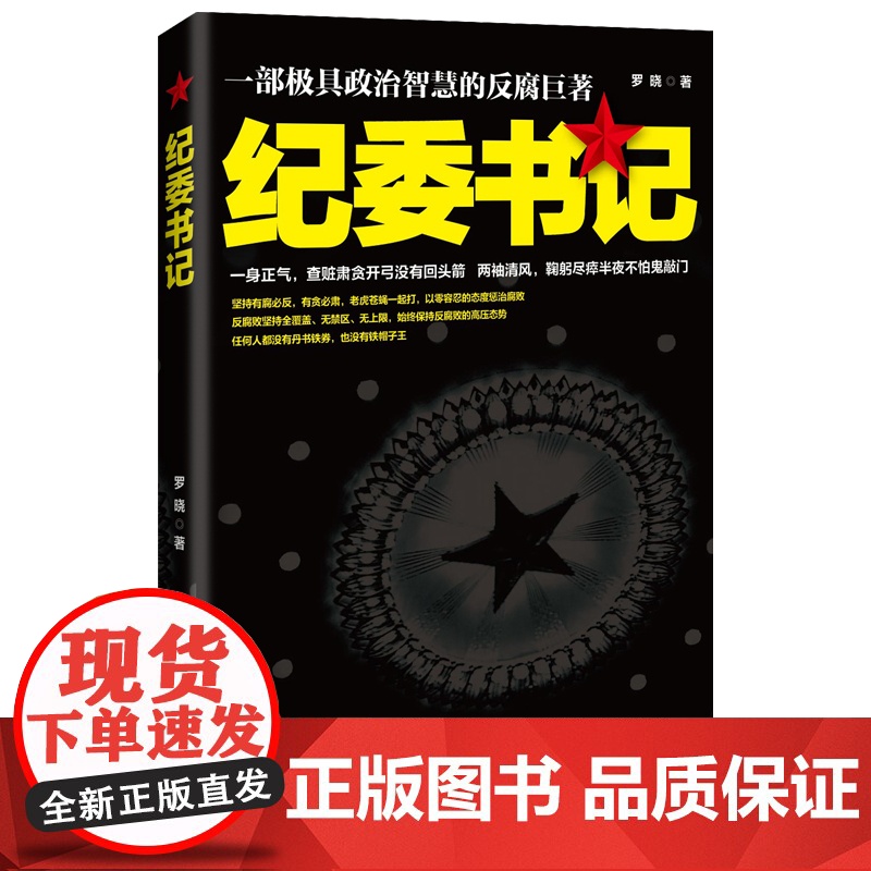 纪委书记 罗晓 21世纪出版社 正版书籍高清大图