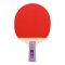 红双喜(DHS)二星直拍双面反胶乒乓球拍单拍成品兵兵拍H2006