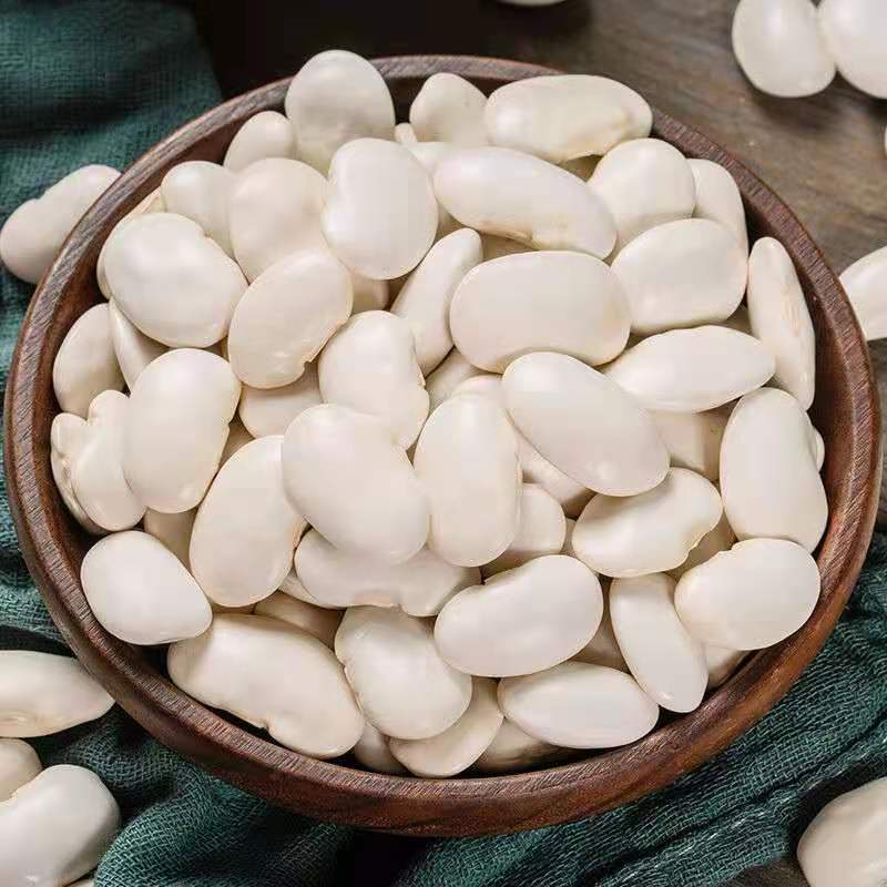 大白芸豆 1斤 5斤 新货尝鲜 京豆大白豆大雪豆 「云南土特产」 两斤