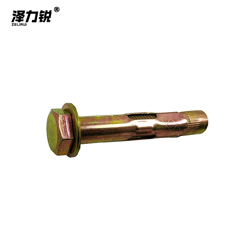 泽力锐 4.8级膨胀螺栓 M10x70 个