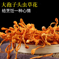 新鲜虫草花1斤干货500g正品特级孢子头北金虫草菇煲汤材料蛹虫草