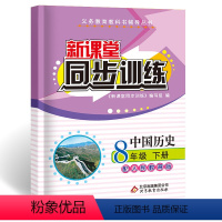 [正版]2024版新课堂同步训练历史八年级下册同步练习册人教版初二8年级