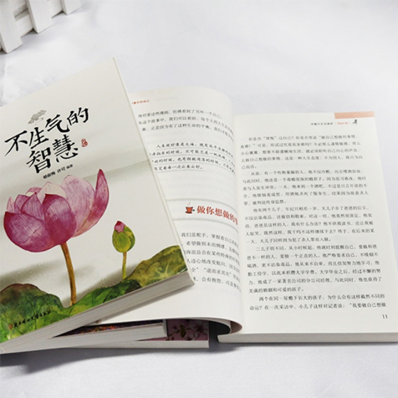 抖音同款青春励志书籍心灵鸡汤青春文学小说成人高中畅销书排行榜