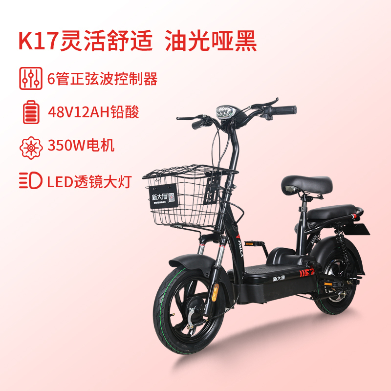 新大洲派乐/PALLA电动车K17时尚轻便48V12AH铅酸电瓶车小型电动自行车代步助力自行车 黑色