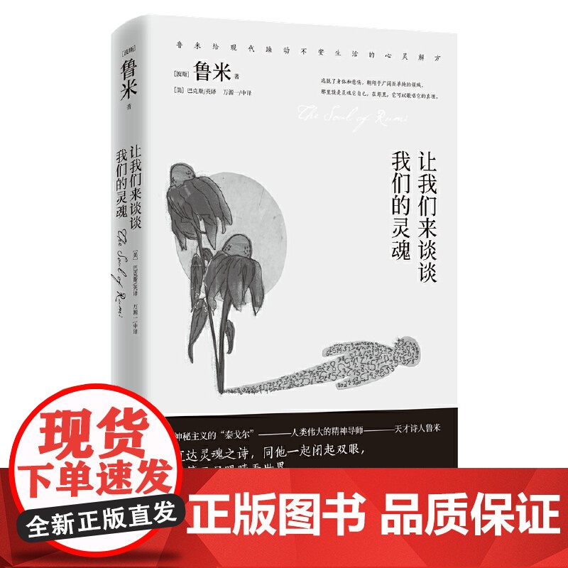 让我们来谈谈我们的灵魂(2020全新修订版,张德芬、武志红诚挚) 鲁米 湖南文艺出版社 正版书籍高清大图