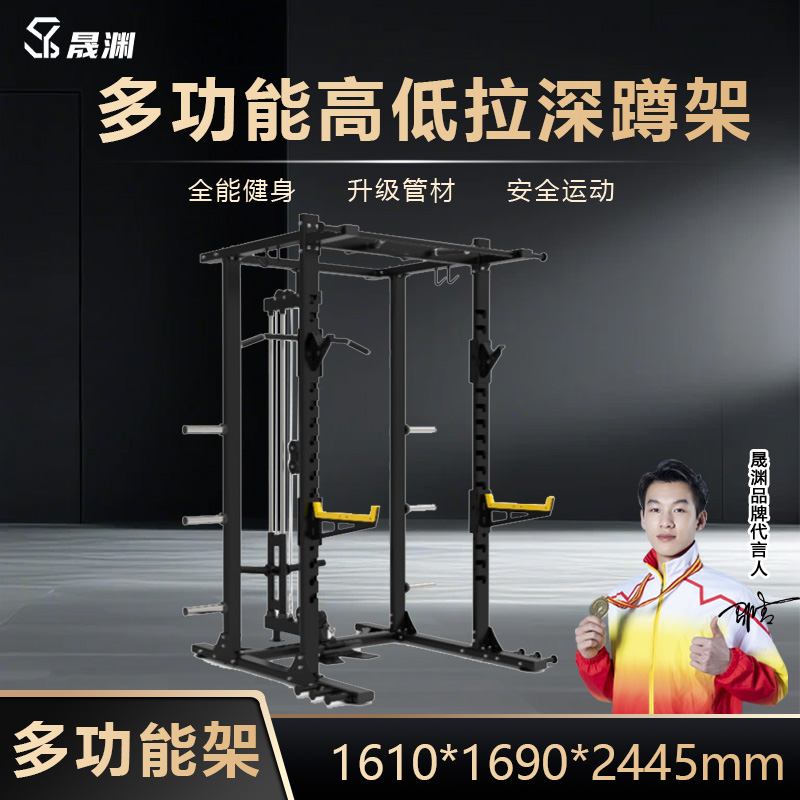 晟渊 多功能深蹲卧推架高位下拉龙门架引体向上器 YZGD50