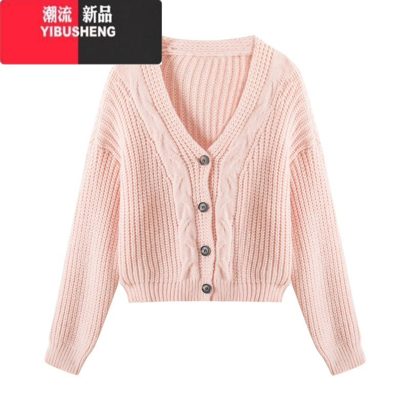 yibusheng加厚毛衣开衫女季东莞大朗韩系复古小个子宽松麻花针织衫