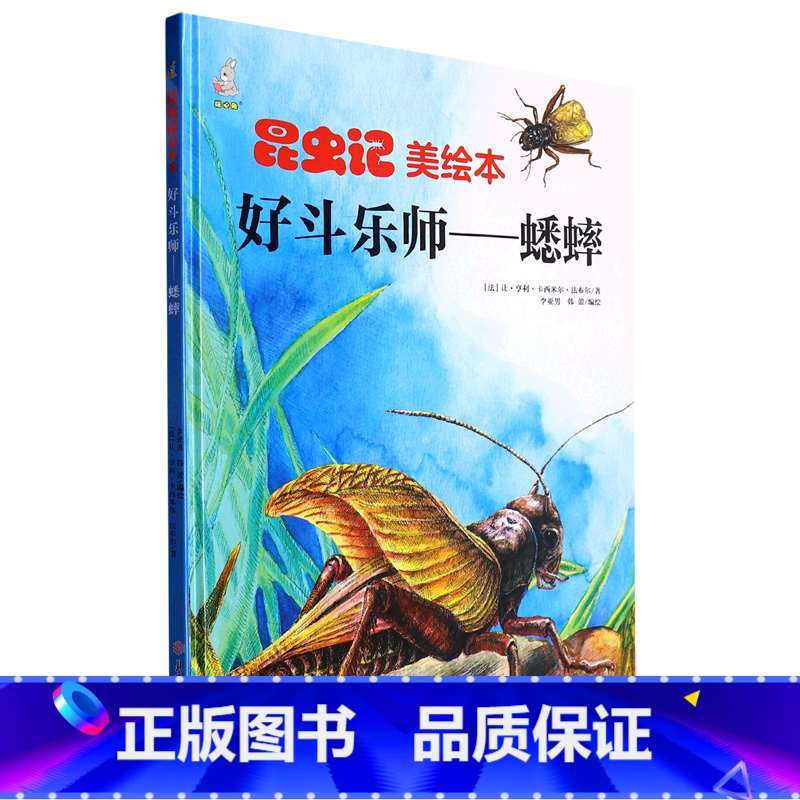 好斗乐师蟋蟀 [正版]昆虫绘美绘本好斗乐师 儿童绘本科普百科精装硬壳硬皮 3-6岁儿童阅读 亲子阅读幼儿早教启蒙科普绘本高清大图