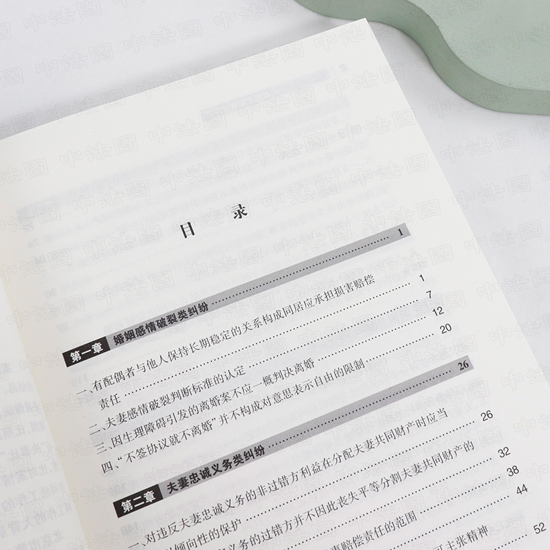 [正版]中法图 2021新 婚姻家庭案件疑难问题裁判精要 民事家事司法实务 婚姻感情破裂夫妻忠诚义务夫妻法定财产夫妻债高清大图