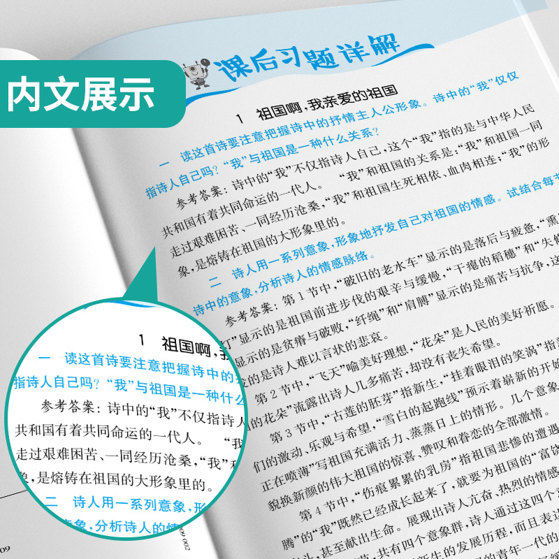 九年级/初中三年级 语文 [正版]2024春初中语文词语手册九年级下册人教版语文课文字词句同步讲解辅导书专项训练工具书春高清大图
