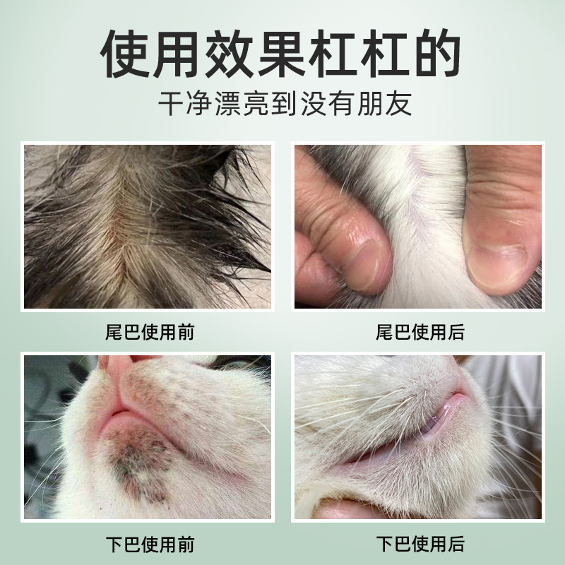 雪貂留香 猫多爱去油膏100g 英短布偶猫 化油膏 氨基酸配方 猫咪下巴猫尾巴 香波浴液