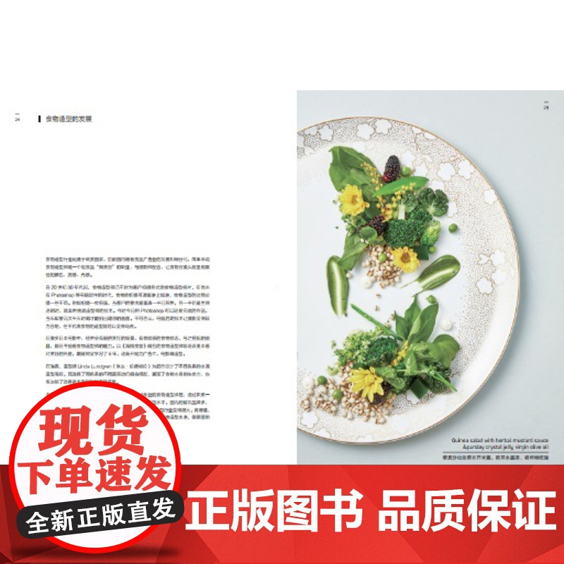 生活-星厨食物造型美学 美食艺术家和摄影师的美学 西 大卫 谷滋蔓 邱子峰 美食艺术食物造型米其林烹饪菜谱美食摄影书籍高清大图