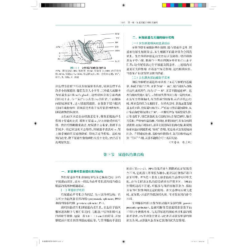醉染图书尿道修复重建外科学9787547855645高清大图