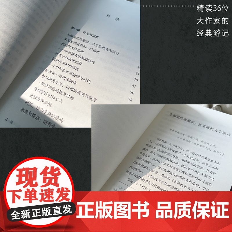 漫游的辩证法高清大图