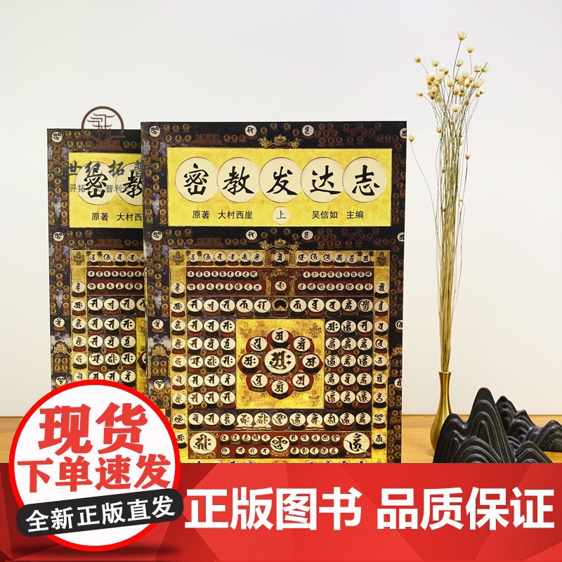 正版 密教发达志(上下)大村西崖/吴信如/唐密东密心地观经佛教书籍佛学书籍佛学经典佛教图书藏密法日本密教藏传佛教高清大图
