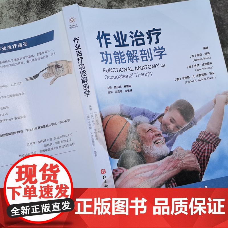 作业治疗功能解剖学 基于作业治疗为的肌肉骨骼功能解剖学 运动康复 北京科学技术高清大图