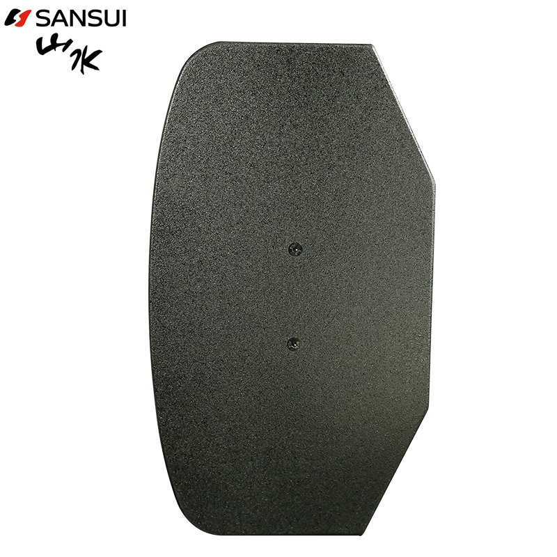 Sansui/山水 SP2-10卡包专业音响 会议/家庭娱乐KTV卡拉OK歌专业重低音壁挂家庭影院双10英寸