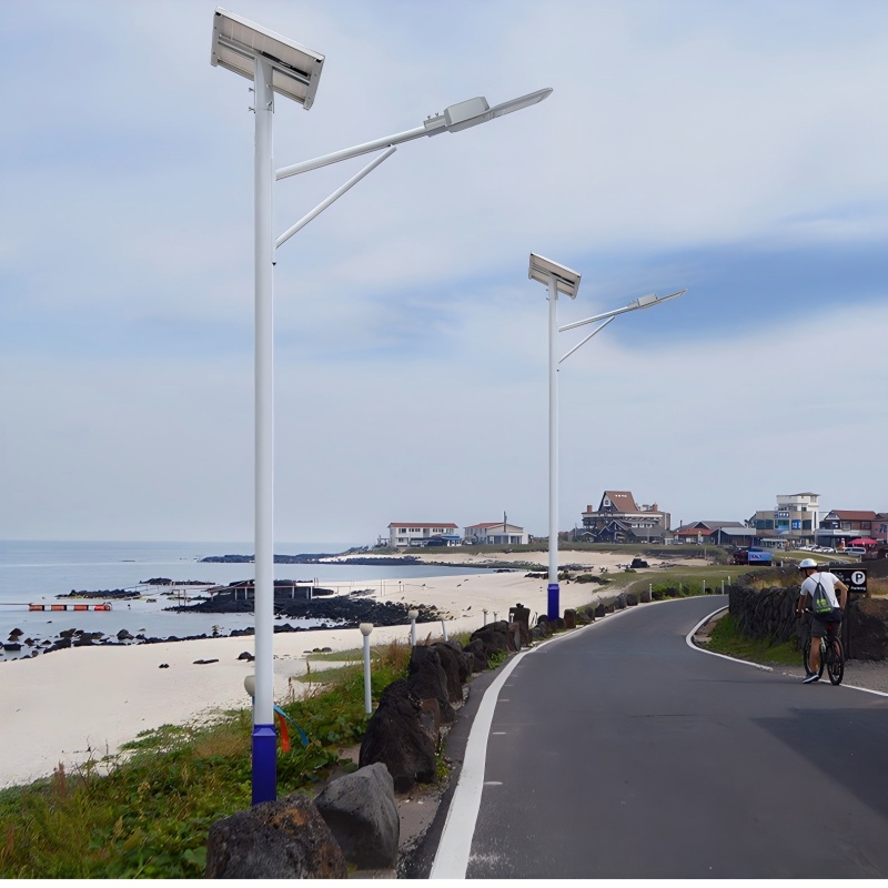 星宇奥润 LED太阳能路灯杆 AD65 根高清大图