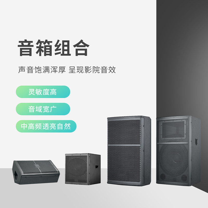 润普Runpu会议音频视频扩声系统本地扩音解案会议音响系统视像追踪无线手拉手音频套装RP-WXKSD980高清大图