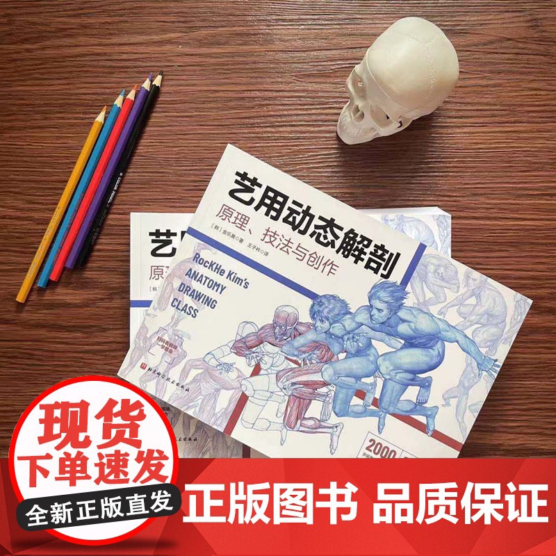 艺用动态解剖 内文附赠46集作者直播课程视频 素描绘画教学角色设计 漫威插画师金乐熹人体动态结构教程肌肉结构 多幅配图姿高清大图