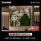 东芝电视85Z970QF 85英寸 音画双芯Mini LED 火箭炮SOUND剧场版 超旗舰剧院电视