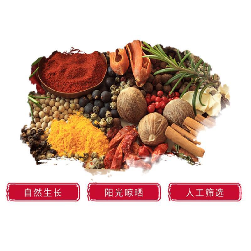 味先 炖肉料 酱肉卤肉卤味火锅调味品 30g/袋 两袋装-YCX