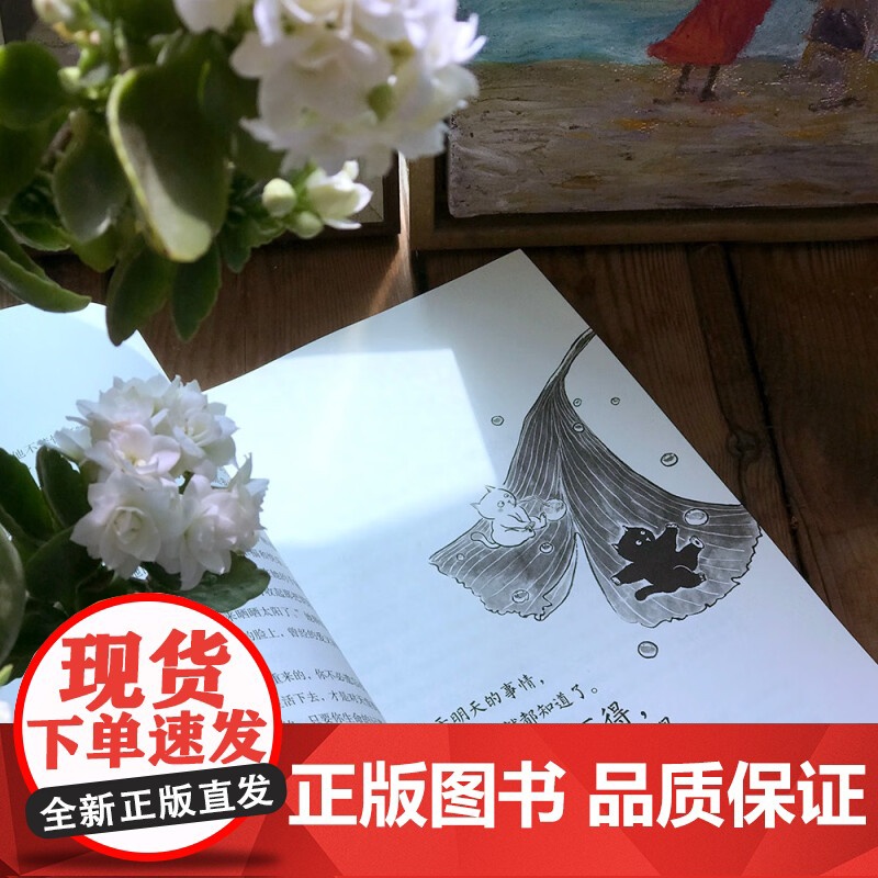 生活能治愈的 是愿意好起来的人 朱成玉 著 励志与成功高清大图