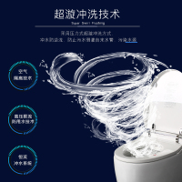 法恩莎卫浴智能马桶即热式全自动冲洗家用坐便器多功能座便器F21