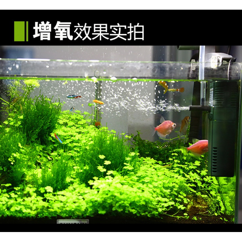 小鱼缸过滤器免换水内置增氧泵三合一氧气泵小型净水循环家用高清大图