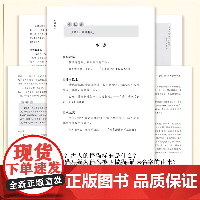 中国猫咪 刘朝飞 编 巴蜀书社 生物科学 生命科学/生物学高清大图